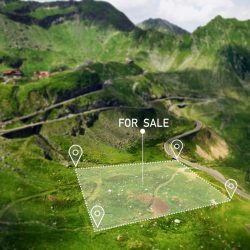 Untitled design (59)